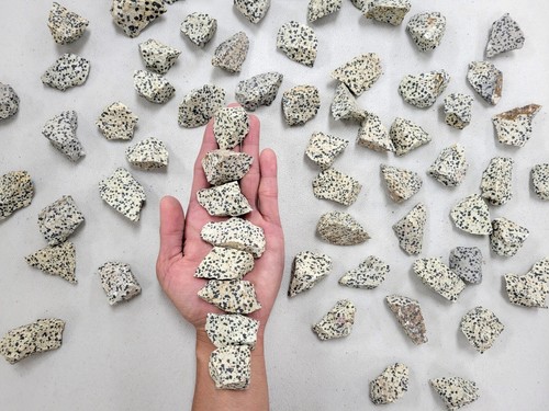 Rough dalmatian jasper - rough, crystal